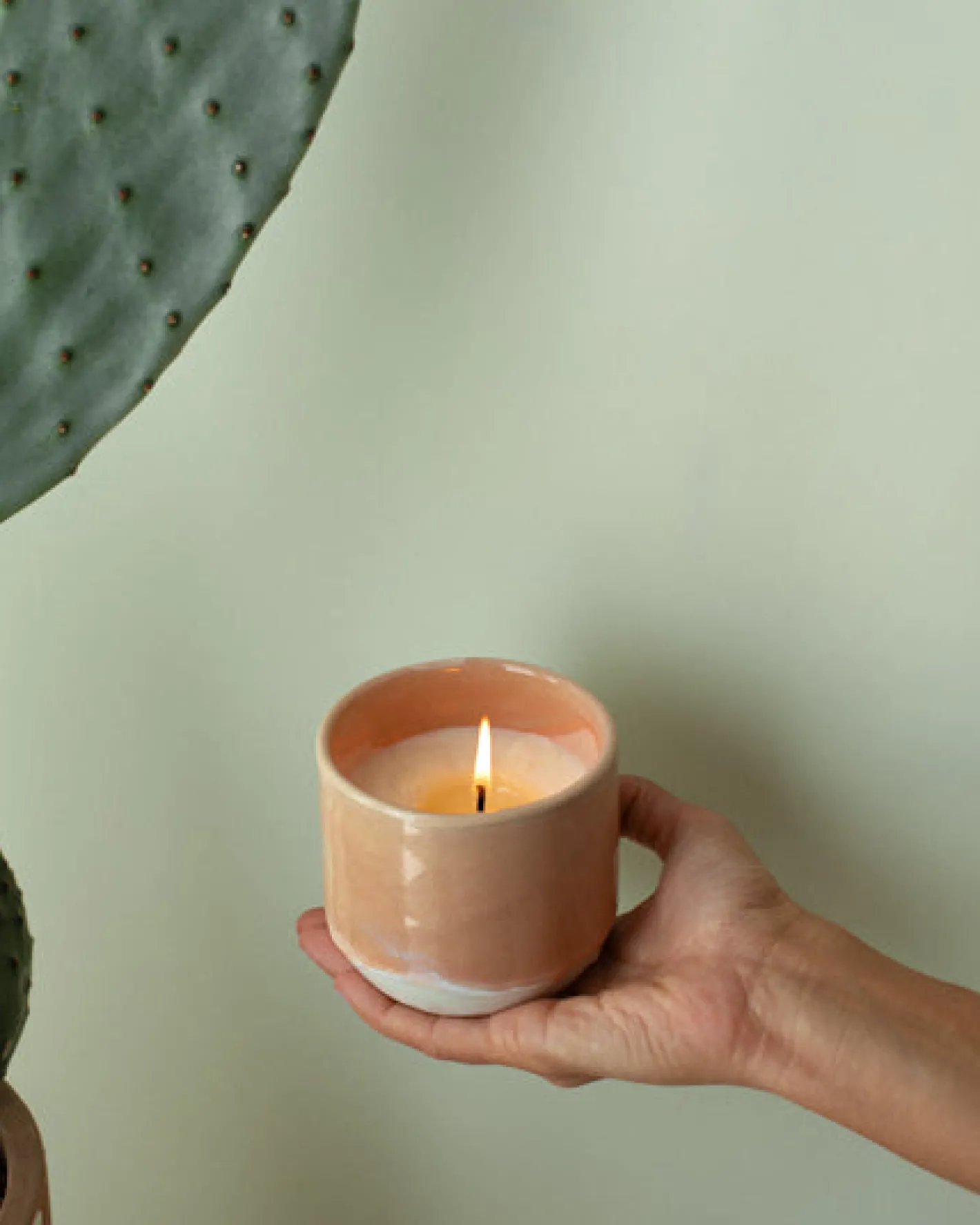 Motel a Miio Duftkerzen^Coimbra - Scented Candle “Mediterranean Breeze”