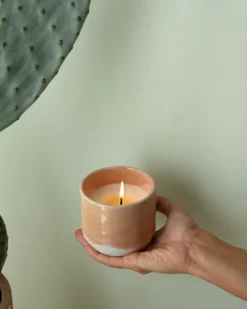 Motel a Miio Duftkerzen^Coimbra - Scented Candle “Mediterranean Breeze”