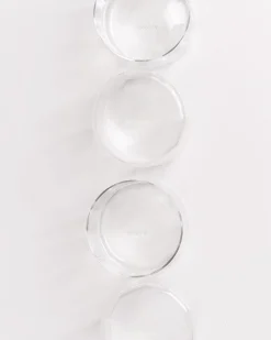 Motel a Miio Kleine Gläser|Gläser Sets %^Joia - Set Of 4 Glasses Flower Classic